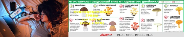 a pvp Армянск