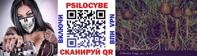 Галлюциногенные грибы MAGIC MUSHROOMS  наркотики  Жуковка 